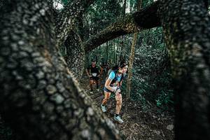 BIB: 
                            <button type="button" onclick="openModal(25391989)" class="btn btn-primary btn-sm float-right btn-popup" data-toggle="modal" data-target=".modal-high-quality">
                        <i class="fas fa-shopping-cart"></i> Add to Cart
                    </button>
                                            <button type="button" onclick="isThisMe(25391989, true)" class="btn btn-success btn-sm float-right btn-popup btn-isme hidden" data-toggle="tooltip" data-placement="bottom" title="นี่คือรูปของคุณใช่ไหม คลิกที่นี่เพื่อเอาเข้าอัลบั้ม">
                        <i class="fas fa-plus"></i> Add to album
                    </button>
                    <button type="button" onclick="isThisMe(25391989, false)" class="btn btn-warning btn-sm float-right btn-popup btn-isnotme hidden">
                        <i class="fas fa-ban"></i> Remove from album
                    </button>